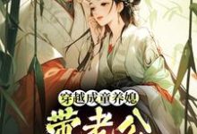 (全文)穿越成童养媳，带老公荒年发大财林十七小说推荐，穿越成童养媳，带老公荒年发大财全章小说阅读-维C文学