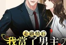 江淮宁走剧情后，我赏了男主三个巴掌练手全本免费在线阅读-维C文学