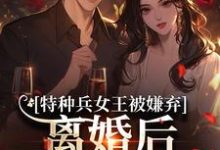 (全文)特种兵女王被嫌弃,离婚后马甲爆了(乔沁顾沉霆)全本免费在线阅读-维C文学