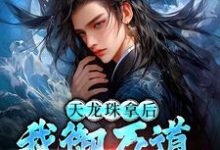 天龙珠拿后，我御万道吞四海热门小说排行榜天龙珠拿后，我御万道吞四海江尘免费小说全本-维C文学