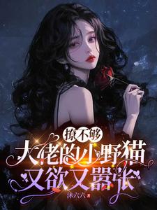 (全文)撩不够，大佬的小野猫又欲又嚣张热门小说排行榜，撩不够，大佬的小野猫又欲又嚣张陆晨矅全章小说阅读