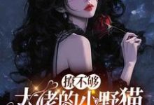 撩不够,大佬的小野猫又欲又嚣张完整版小说,撩不够,大佬的小野猫又欲又嚣张陆晨矅试读更新章节-维C文学
