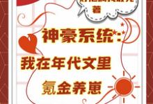神豪系统：我在年代文里氪金养崽（叶晓琳）小说推荐神豪系统：我在年代文里氪金养崽全章小说阅读-维C文学
