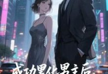 快穿：男主事业心呢，怎么全是恋爱脑完整版小说快穿：男主事业心呢，怎么全是恋爱脑(迦扬厄洛斯)全章小说阅读-维C文学