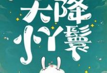 天降小丫鬟（夏夏）小说推荐天降小丫鬟全章小说阅读-维C文学