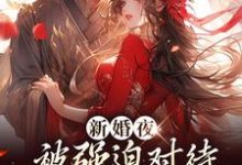 新婚夜被强迫对待，这叫不近女色？谢临珩虞听晚免费小说新婚夜被强迫对待，这叫不近女色？推荐完结小说-维C文学