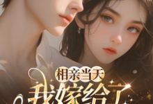 相亲当天,我嫁给了京都首富蓝冉免费小说相亲当天,我嫁给了京都首富推荐完结小说-维C文学
