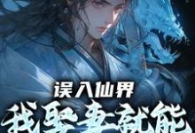 (全文)误入仙界，我娶妻就能天下无敌（许世安）试读更新章节误入仙界，我娶妻就能天下无敌免费小说-维C文学