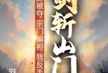 灵脉被夺，宗门偏袒，我反手剑斩山门！陈帆免费小说灵脉被夺，宗门偏袒，我反手剑斩山门！推荐完结小说-维C文学