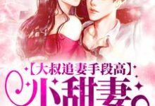 大叔追妻手段高,小甜妻逃不掉完整版小说大叔追妻手段高,小甜妻逃不掉(叶柠谢聿礼)全章小说阅读-维C文学