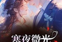 寒夜微光:她的逆袭人生袁小苔热门小说排行榜寒夜微光:她的逆袭人生免费小说-维C文学