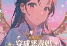 穿成恶毒妈,我氪金养出顶流娃推荐完结小说穿成恶毒妈,我氪金养出顶流娃(叶晓琳)免费小说全本-维C文学