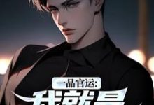 (全文)一品官运：我就是无冕之王热门小说排行榜，一品官运：我就是无冕之王陈飞宇全章小说阅读-维C文学