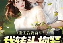 重生后要奋斗？我转头抱紧富婆大腿完整版小说，重生后要奋斗？我转头抱紧富婆大腿李子玉全章小说阅读-维C文学