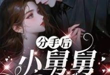 分手后,小舅舅夜夜洗床单(沈锦悦)全章小说阅读-维C文学