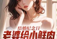 (全文)结婚纪念日，老婆给小鲜肉打榜应援完结小说推荐叶一帆全本书籍阅读-维C文学