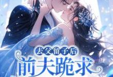 去父留子后，前夫跪求伺候我月子！（林亦棠）小说推荐去父留子后，前夫跪求伺候我月子！全章小说阅读-维C文学