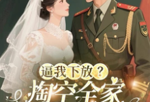 逼我下放？掏空全家挺孕肚随军去完整版小说逼我下放？掏空全家挺孕肚随军去(桑榆晚)全章小说阅读-维C文学