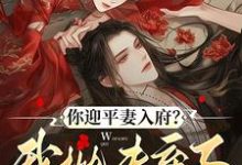 你迎平妻入府？我抛夫弃子嫁暴君宋锦书热门小说排行榜你迎平妻入府？我抛夫弃子嫁暴君免费小说-维C文学