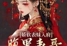 娇软表妹入府:腹黑表哥沦陷了沈云婉完结小说推荐娇软表妹入府:腹黑表哥沦陷了全本书籍阅读-维C文学