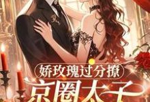 (全文)娇玫瑰过分撩，京圈太子底线全抛邓恩雅最新完结小说娇玫瑰过分撩，京圈太子底线全抛免费小说全本-维C文学