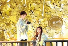 金丝雀割腕后，顾总他哭了危悦顾汀舟小说在线章节目录阅读最新章节-维C文学