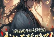 武直穿综武开局矮矬穷,我让天骄跪了!全本免费在线阅读-维C文学