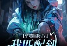 穿越星际后,我匹配到九个大冤种热门小说排行榜穿越星际后,我匹配到九个大冤种洛千免费小说全本-维C文学
