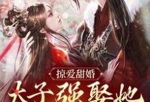 (全文)掠爱甜婚：太子强娶她入东宫免费小说全本，贺玥试读更新章节-维C文学