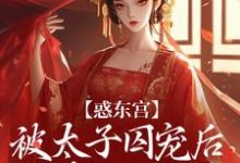 惑东宫：被太子囚宠后，她权倾天下陆菀音免费小说惑东宫：被太子囚宠后，她权倾天下推荐完结小说-维C文学