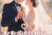 默默掏出结婚证,我的老公好奶推荐完结小说,默默掏出结婚证,我的老公好奶宋禧免费小说全本-维C文学
