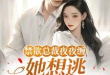 禁欲总裁夜夜缠，她想逃却逃不掉​​热门小说排行榜禁欲总裁夜夜缠，她想逃却逃不掉​​温澜免费小说全本-维C文学