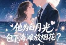 (全文)他为白月光包下海滩放烟花?离婚!(霍宴州云初)试读更新章节他为白月光包下海滩放烟花?离婚!免费小说-维C文学