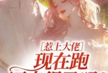 惹上大佬，现在跑还来得及吗？林媛热门小说排行榜惹上大佬，现在跑还来得及吗？免费小说-维C文学