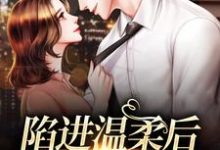 陷进温柔后，他宠上瘾了完整版小说陷进温柔后，他宠上瘾了(甘棠许应)全章小说阅读-维C文学