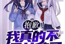 抱歉！我真的不是女孩子！苏醒热门小说排行榜抱歉！我真的不是女孩子！免费小说-维C文学