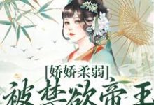 娇娇柔弱，被禁欲帝王强制囚宠宋泱裴慎最新完结小说，娇娇柔弱，被禁欲帝王强制囚宠全本免费在线阅读-维C文学