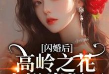 (全文)闪婚后,高岭之花人设崩塌了(苏酥)试读更新章节闪婚后,高岭之花人设崩塌了免费小说-维C文学