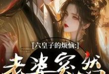 (全文)六皇子的烦恼:老婆突然不瞎了(谢成君)全本书籍阅读六皇子的烦恼:老婆突然不瞎了免费小说全本-维C文学
