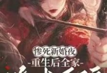 惨死新婚夜，重生后全家跪求原谅最新章节阅读惨死新婚夜，重生后全家跪求原谅(姜梨)试读更新章节-维C文学