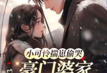 小可怜揣崽偷哭，豪门婆家来团宠最新章节阅读小可怜揣崽偷哭，豪门婆家来团宠(苏念念)试读更新章节-维C文学