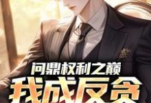 (全文)问鼎权利之巅，我成反贪第一人方晓倩全本免费在线阅读-维C文学