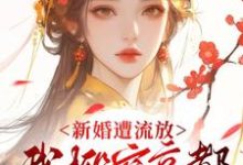 新婚遭流放，我搬空京都去逃荒热门小说排行榜新婚遭流放，我搬空京都去逃荒桑晚柠免费小说全本-维C文学