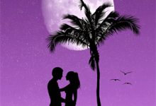 我靠先祖遗产娇养了老婆章节免费在线阅读，周既白许昭野完结版-维C文学