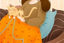 等一场满城飞絮章节免费在线阅读，商晏清尹鹿完结版-维C文学