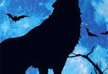 完结版《奈何惊鸿入我心》章节目录在线阅读-维C文学