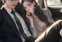 何意迟迟归小说阅读,何意迟迟归完结版-维C文学