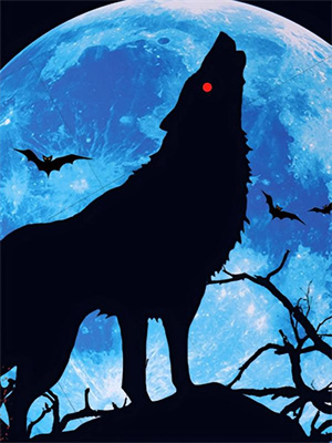 隐婚娇妻:总裁心动百分百花清漪陆其琛伍浩轩顾靳南小说免费阅读