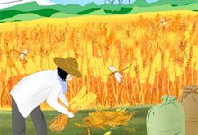 小说《月落辞归衍》章节阅读-维C文学