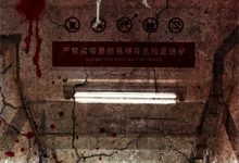 完结版《花开京港》章节阅读-维C文学